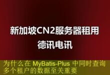 为什么在 MyBatis-Plus 中同时查询多个租户的数据至关重要-海外服务器